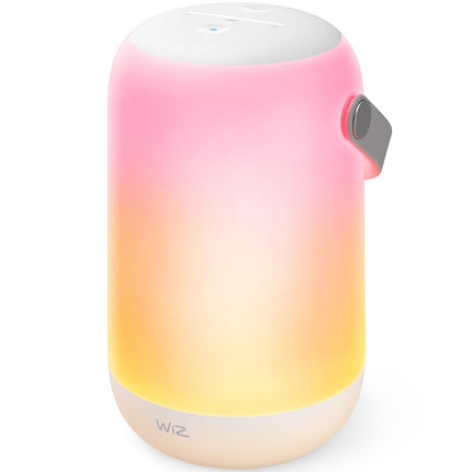 WiFi Portable lamp