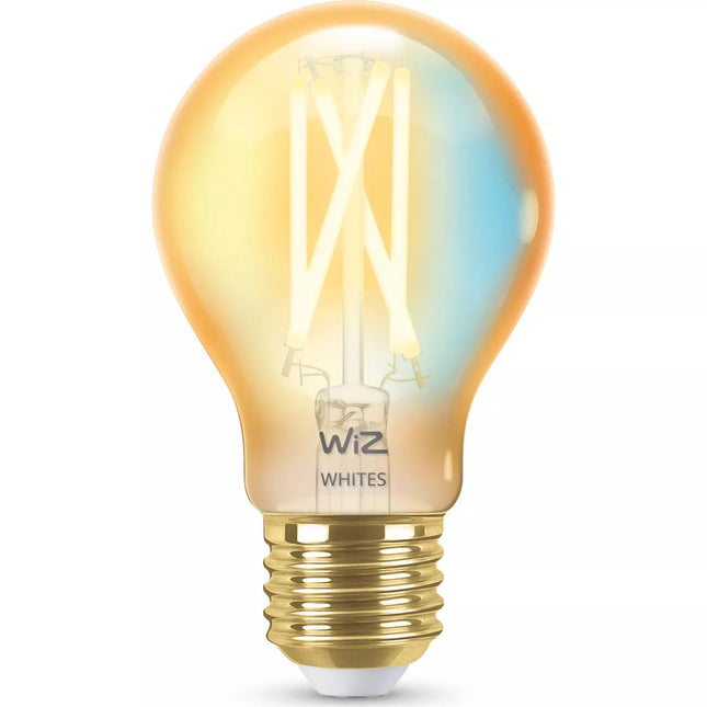 WiFi Smart LED E27 50W Filament Amber Warm-cool white 640 lm