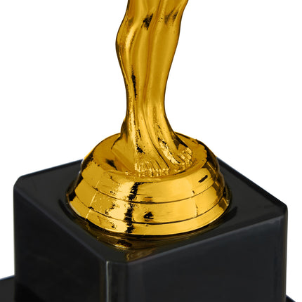 Nugalėtojo trofėjų rinkinys (5 vnt.)