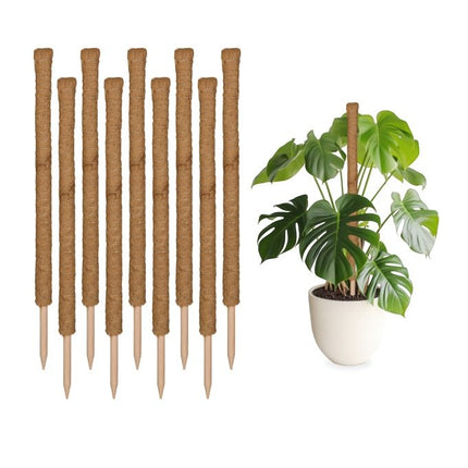 10 kokoso lazdelių rinkinys, 90 cm