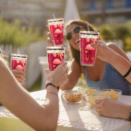 4 geriamųjų stiklinių rinkinys su flamingo motyvu